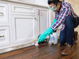 Best Pest Exclusion Services  in Eslon, CA